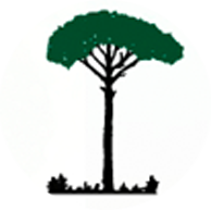 Viveros y repoblaciones La Mancha S.L